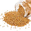 MIYUKI Delica Beads SEED-X0054-DB2303-1