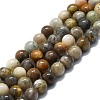 Natural Grey Moonstone Beads Strands G-P457-C02-08-1