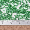 MIYUKI Delica Beads SEED-X0054-DB1787-2