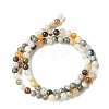 Natural Bamboo Leaf Agate Round Beads Strands G-M248-4mm-04-5