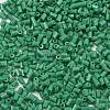 Two Cut Glass Seed Beads CSDB47-2