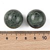 Natural Kambaba Jasper Sphere Beads GG-D003-A20-3