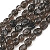 Natural Ice Obsidian Beads Strands G-P623-A01-01-2