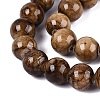Natural Persian Jade Beads Strands G-A255-A02-05A-3