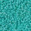 TOHO Round Seed Beads X-SEED-TR08-0920-2