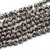 Natural Dalmatian Jasper Round Bead Strands X-G-J303-19-10mm-1