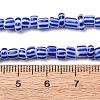 Handmade Lampwork Beads Strands BLOW-K001-01B-14-2