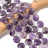 Natural Amethyst Beads Strands G-A292-A08-01-1