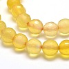 Dyed Natural Agate Faceted Round Beads Strands G-E267-05-2