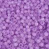 FGB Frosted Transparent Glass Seed Beads SEED-N013-04A-07-3