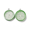 Flat Round Resin Fruit Pendants RESI-H144-10B-2