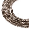 Natural Smoky Quartz Beads Strands G-E608-A04-3