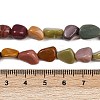Natural Alashan Agate Beads Strands LS-G-Q060-E19-02-5