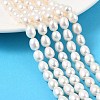 Natural Cultured Freshwater Pearl Beads Strands PEAR-I007-01D-07A-1