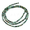 Natural African Turquoise(Jasper) Beads Strands X-G-A02-02-5