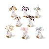 Natural Gemstone Tree Display Decorations DJEW-E007-01RC-1