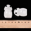 Natural Quartz Crystal Monster Figurines DJEW-N003-01J-3