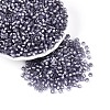 Silver Lined Glass Seed Beads SEED-T007-18A-08-1
