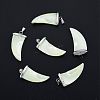 Natural Trochid Shell/Trochus Shell Pendants SSHEL-G024-06P-4
