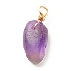 Natural Amethyst Pendants PALLOY-JF01582-01-2