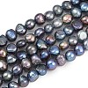 Natural Cultured Freshwater Pearl Beads Strands PEAR-P064-20A-03B-2