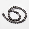 Natural Map Stone/Picasso Stone/Picasso Jasper Round Beads Strands G-E329-10mm-47-4
