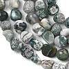 Natural Tree Agate Beads Strands G-D362-A01-4