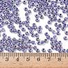 TOHO 6/0 Round Beads X-SEED-TR06-0265-4