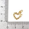 Brass Micro Pave Cubic Zirconia Charms KK-H077-02G-01-3