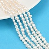 Natural Cultured Freshwater Pearl Beads Strands PEAR-P064-19D-13A-1