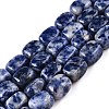 Natural Blue Spot Jasper Beads Strands G-T138-101-4