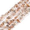 Natural Sunstone Beads Strands G-G0003-B47-1