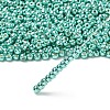 TOHO 6/0 Round Beads X-SEED-TR06-PF0561-2