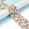 Shell Pearl Bead Strands LS-BSHE-L017-17-2