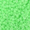 6/0 Luminous Glass Seed Beads SEED-NH0001-01H-4