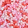 Glass Seed Beads SEED-K010-03P-2