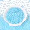 Baking Paint Glass Seed Beads GLAA-T023-43E-1