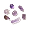 Natural Amethyst Chip Beads G-Q193-02C-2