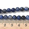Natural Sodalite Beads Strands G-G515-6mm-07-6