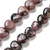 Natural Rhodonite Beads Strands G-R190-10mm-40-1