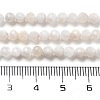 Natural Rainbow Moonstone Beads Strands G-G161-A01-03-5