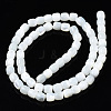 Natural Trochid Shell/Trochus Shell Beads Strands SSHEL-N034-121-B01-2