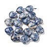 Natural Blue Spot Jasper Beads Strands G-C150-A27-01-4