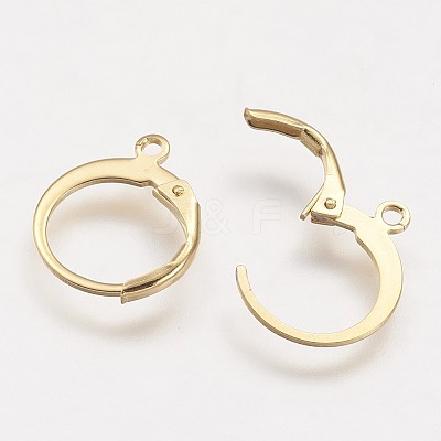 304 Stainless Steel Leverback Earring Findings STAS-F041-47-G-1