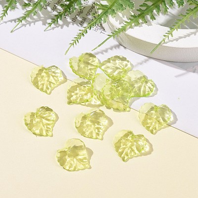 Transparent Acrylic Pendants DBLA410-9-1