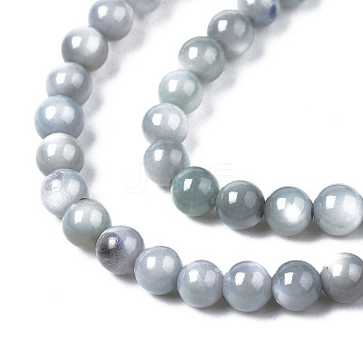 Natural Freshwater Shell Beads Strands X-BSHE-T009A-01K-1