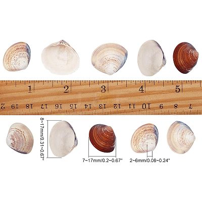 Clam Shell Beads SSHEL-NB0001-11-1