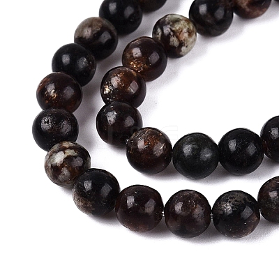 Natural Biotite Beads Strands G-Q616-01B-1