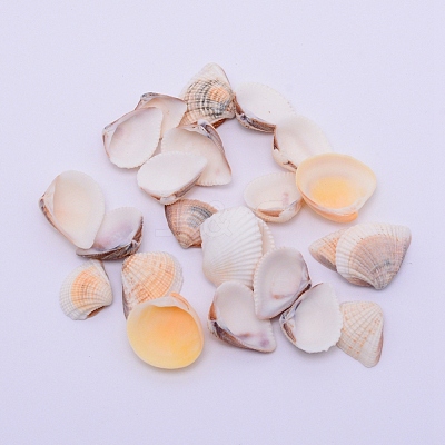 Natural Conch Shell Beads SSHEL-WH0003-01-1