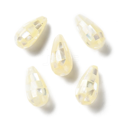 Natural White Shell Beads SSHEL-B002-10B-04-1